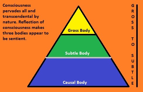 Access to our three bodies – Gross, Subtle and Causal | Guruvaakya